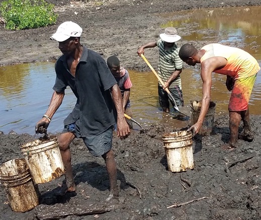 ILE-A-VACHE FISH POND PROJECT