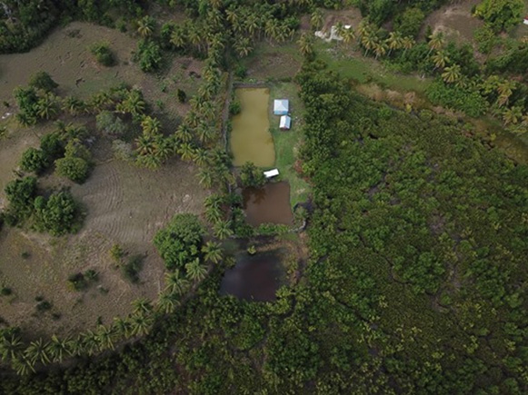 Ile-a-Vache-Haiti---Fish-Pond